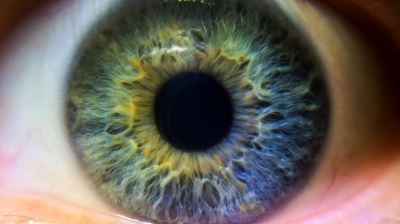 Cell therapy produces encouraging first results in eye trial - Pharmaphorum
