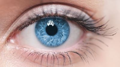 Researchers discover new method of treating major eye diseases - The Hippocratic Post